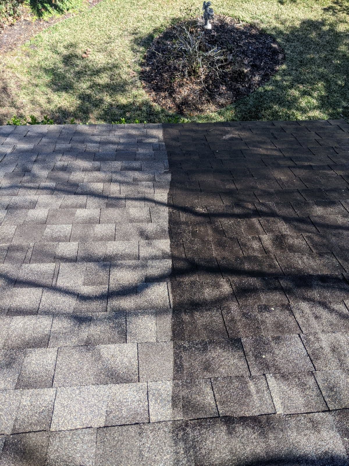 Roof Cleaning in Jacksonville, FL image